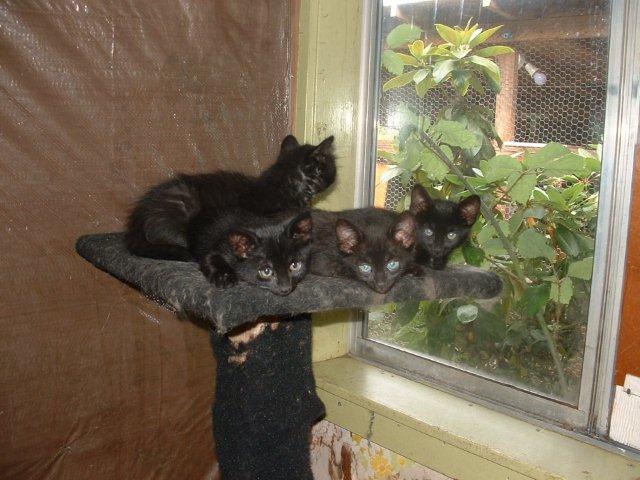 1alltogether