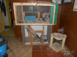 01kittyremodel