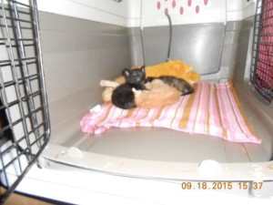 01bottlebabies2015
