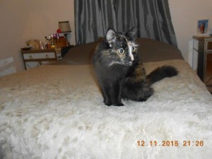 01mollyadopted