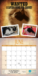 01calendar