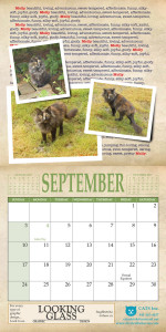 01calendaroct