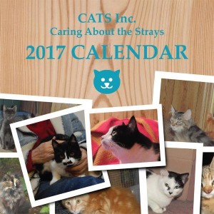01coverofcalendar