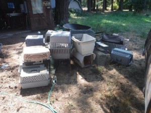01catcarriers