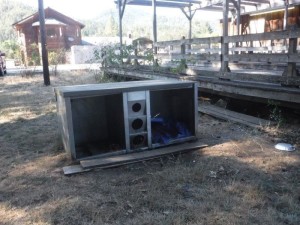 01quintasfeeder