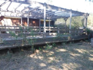 01quintashelter