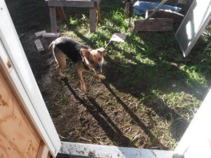 01coopsupervising