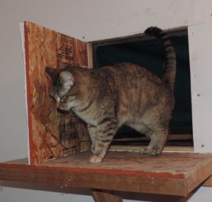 01delilahdoor